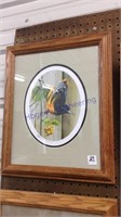 Framed picture of bird