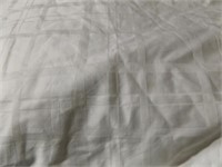Twin Size Duvet (no cover)