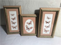 Lot of 3 Peachy Colored Butterfly Framed Artwork