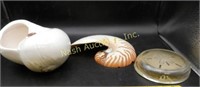 sand dollar, decorative shells, 1/2 shelf