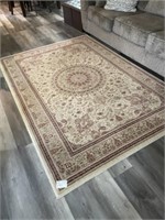 Area Rug - 63" by 91"
