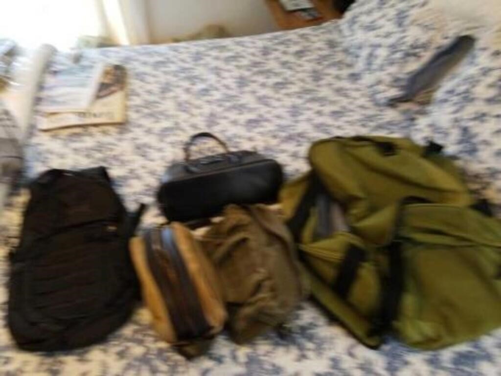4 bags and one purse