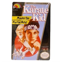 Karate Kid Video game cover art tin, 8x12, come