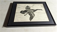 Framed Ink Drawing of Canadian Goose