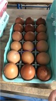 18 Fertile Black Copper Maran Eggs