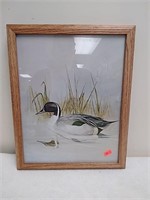 Framed mallard duck artwork