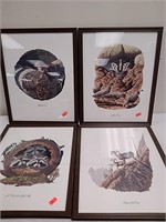 Group of wildlife artwork