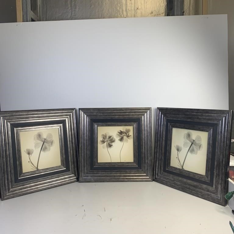 3- X-ray Floral I Framed Art Prints