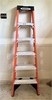 Werner 6' Ladder