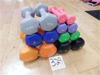 Hand Weight Set