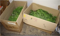 Two Boxes of Artificial Greenery Stems