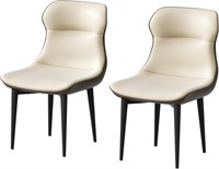 Set of 2 Gacuray Modern Dining Chairs