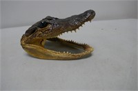 Aligator Head 6"L