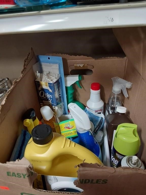 Box Lot of Cleaners