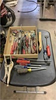 Wire brush, screwdrivers, gardening tools