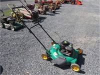 Weedeater 22" 3.75HP Push Mower