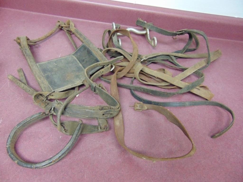 Horse Bridles And Bits