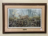 Framed-Signed & Numbered Wildlife Print-