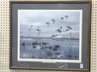 Framed-Signed & Numbered Duck Print-
