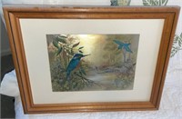 Vintage Dufex Foil Kingfisher Bird Print