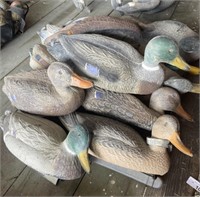 12 - Plastic Duck Decoys