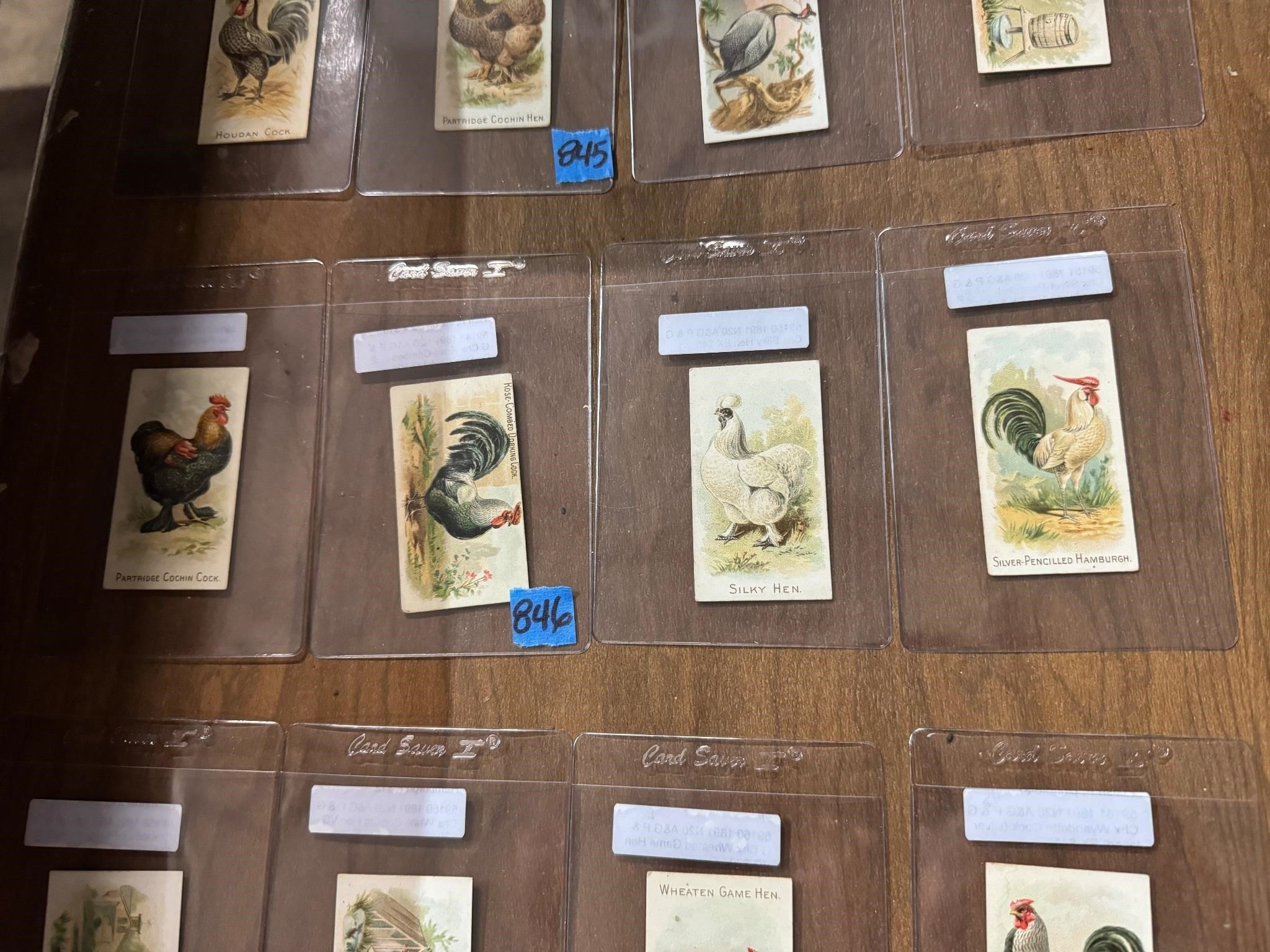 (4) Allen & Ginter 1891-Birds