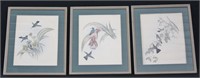 3pcs J. Gould & H.C. Patcher Early Lithographs