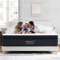 Molblly King Mattress, 14 Inch Hybrid