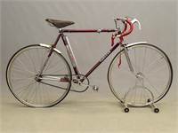 Carlton Men's Bicycle
