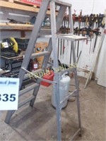 6' Aluminum Ladder