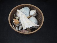 Sea Shell Ocean Collection Basket Lot