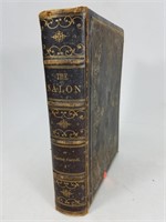 Antique The Salon book