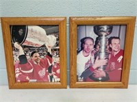 Framed Detroit Red Wings Prints