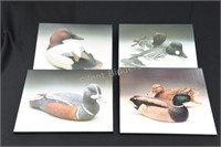 Jim Sprankle Artist -Waterfowl Framed Pictures on
