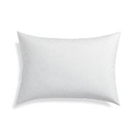 2 STANDARD PILLOW INSERT