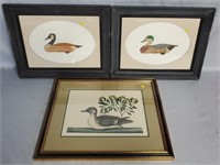 Lot of 3 Waterfowl Prints
