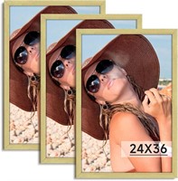 $76 24x36 Matte Gold Frame 2Pack for Print Photos