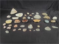 Group of shells and stones