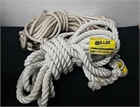 Group of safety ropes for harnesses