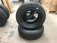 Two Michelin 205 / 70R17 Tires