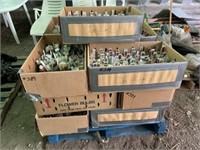 Pallet of Flower Gardening Tags