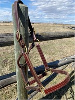 LEATHER HALTER WITH BRASS HARDWARE 2