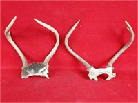 Two Sets of Deer Antlers