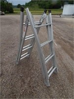 Multi-purpose utility ladder