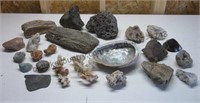 Rocks, Minerals, Fossils, & More