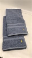 2 Nwot Polo Ralph Lauren Hand Towels In Blue