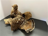 Ruffed Grouse Mount Taxidermy