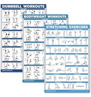 EXERCISE POSTERS 18x24IN 3POSTERS