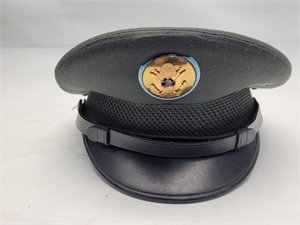 US Army Enlisted Crusher Style Cap