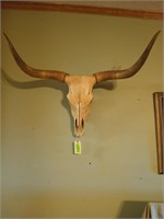 Cow Skull with 34-in horns